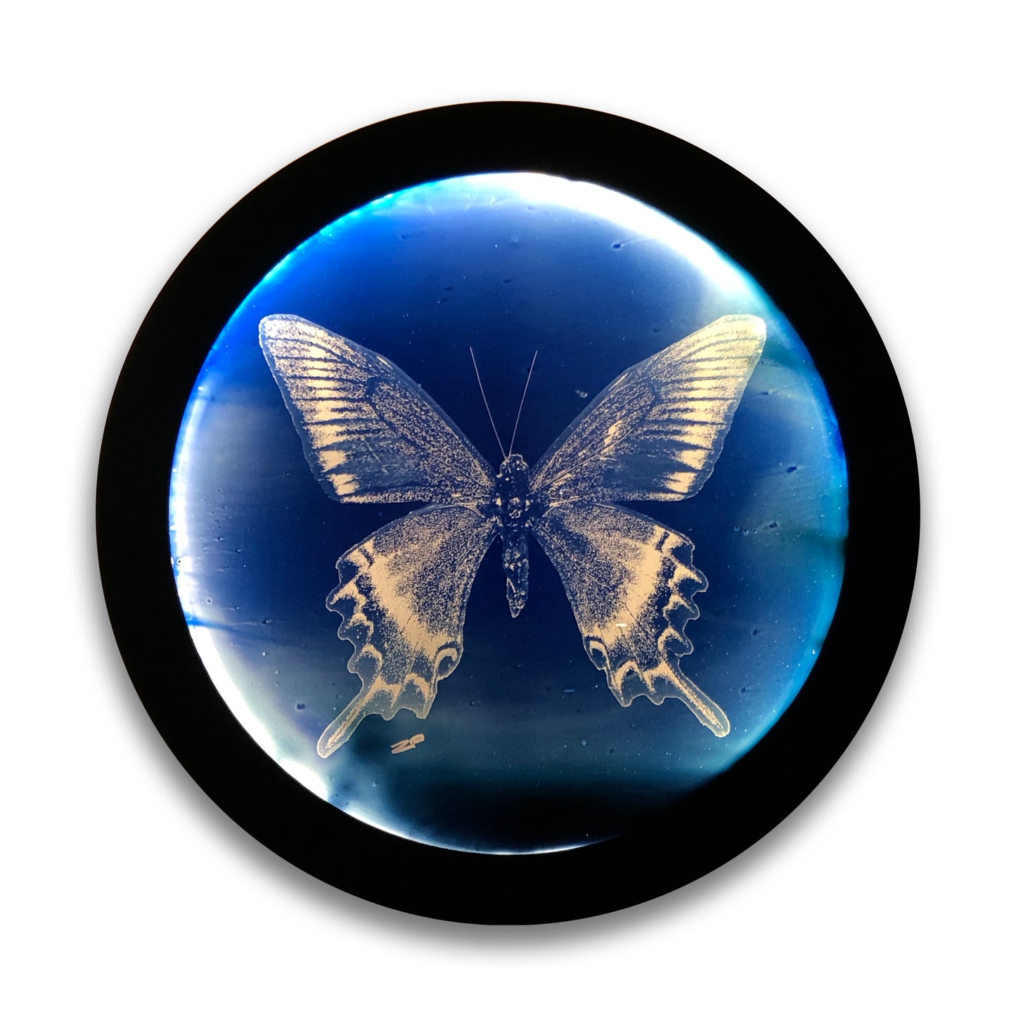 Divine Symmetry - Cyanotype on Glass
