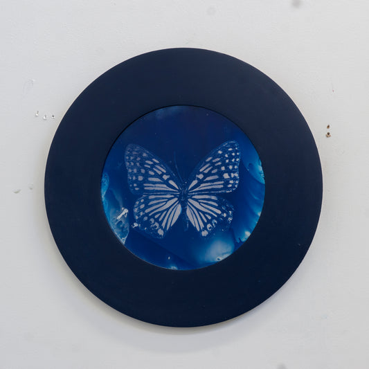 Divine Symmetry Mini 2- Cyanotype on Glass