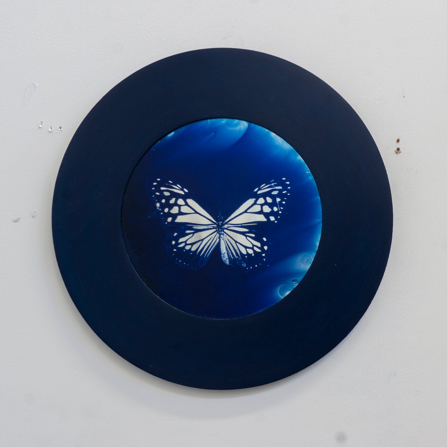 Divine Symmetry Mini 1- Cyanotype on Glass